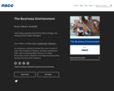 The Business Environment (BUSI 1015)