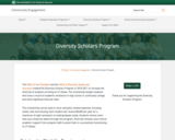 Diversity Scholars Program