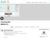 Stretching DNA