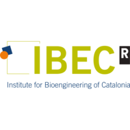 Institut for Bioengineering of Catalonia (IBEC)