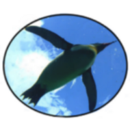 Valerie Pennington (Penguin Prof)