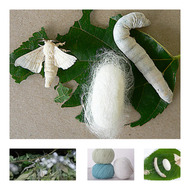 فاطمة الحالمي