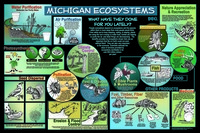 Ecosystem Poster