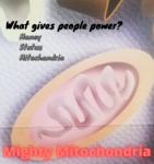 Example of Cell Organelle Meme