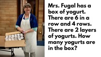 MrsFugal Yogurt