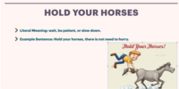Example Slide-Hold Your Horses