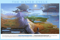 the-water-cycle