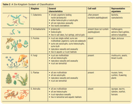 6 Kingdom Classification Table