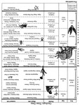 Geological Time Table