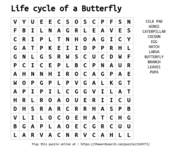 Lifecycle_of_a_butterfly_wordsearch