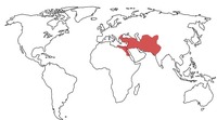 Persian Empire on World Map