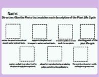 Activity Part 1 (Descriptions)