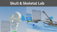 Skull & Skeletal Lab
