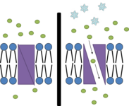 Temperature gated ion channel