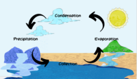 Water cycle diagram