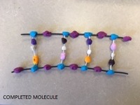 completed molecule