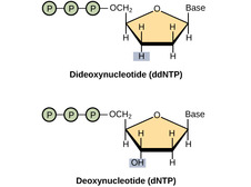 View Resource