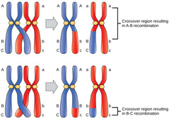 View Resource