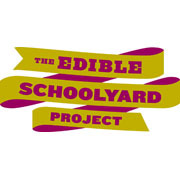 Bees  The Edible Schoolyard Project