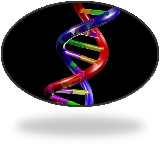 Bioscience Isolation of DNA Lesson 3 Unit 2 Y1