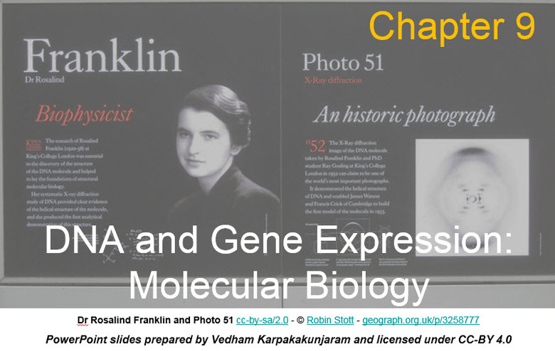 Chapter 9 - DNA and Gene Expression: Molecular Biology