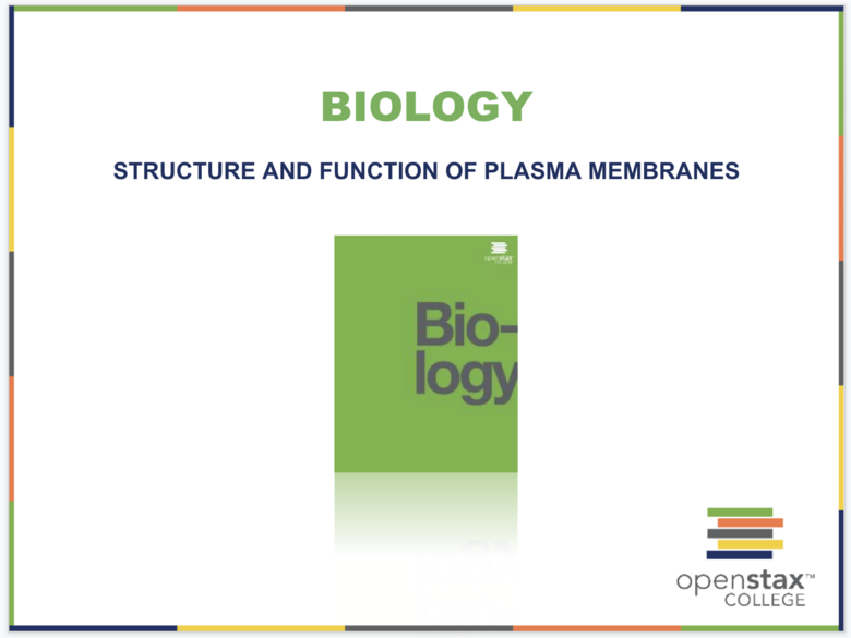 Structure and Function of Plasma Membranes Resources