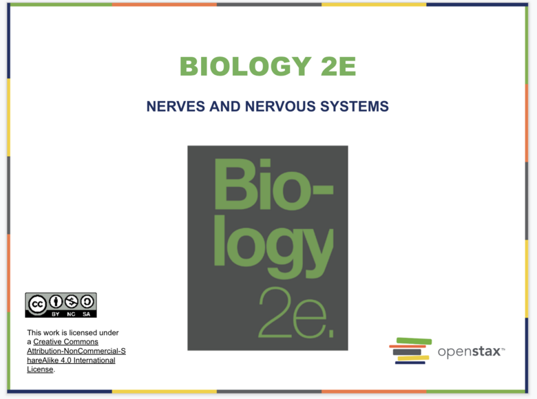 The Nervous System Resources