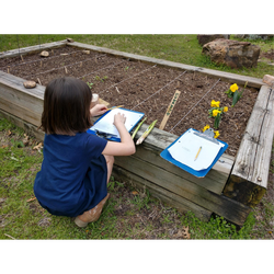 Graphing Plant Heights -- Out Teach