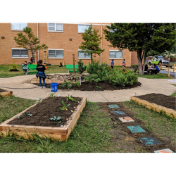 Interdependency  in Ecosystems -- Out Teach