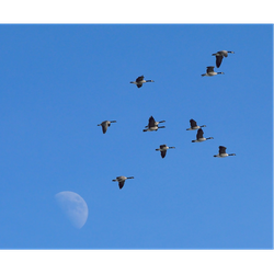 K- Objetos en el Cielo - Out Teach