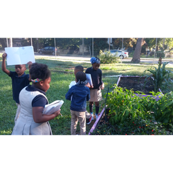 Measuring Plants -- Out Teach