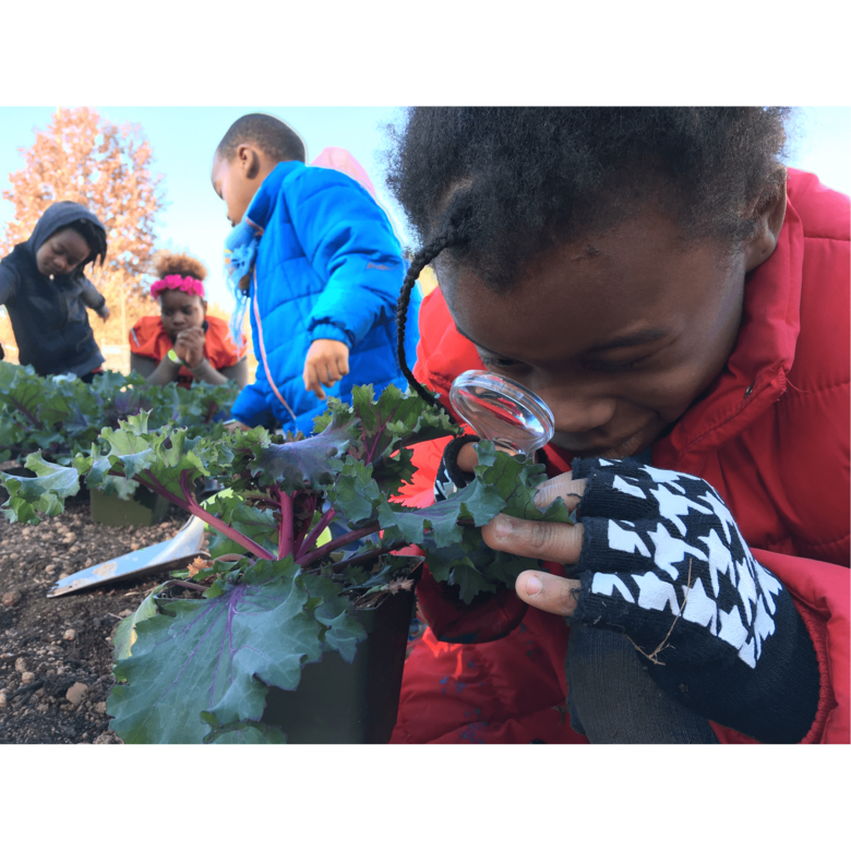 Plant Parts -- Out Teach