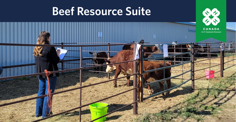 4-H Beef Judging | Resource Bank