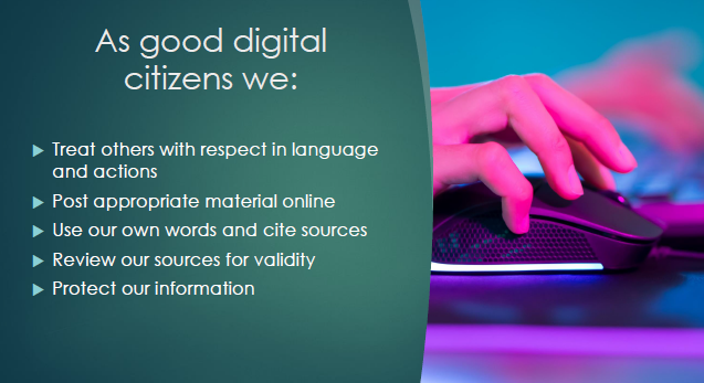 Digital Citizenship - Appropriate Online Interactions