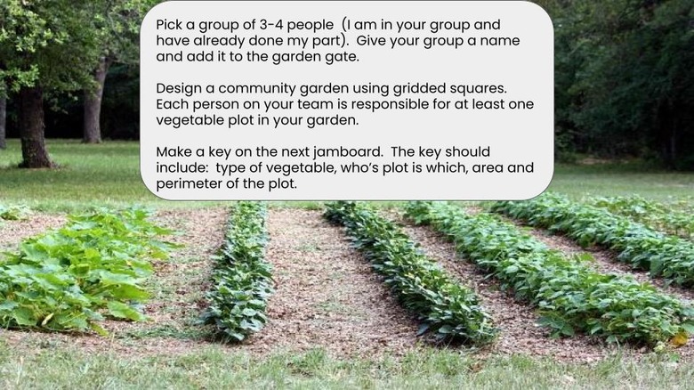 community garden plot design
