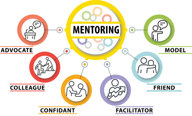 Utah Mentor Roles and Competencies