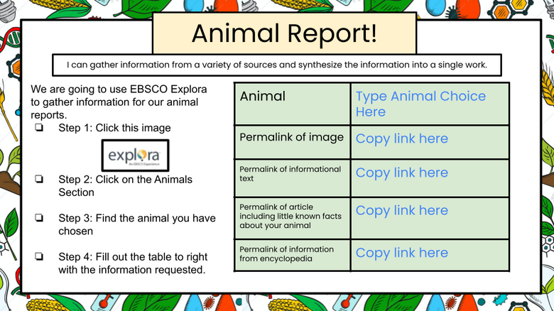 Animal Report