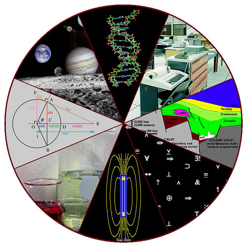 Enzyme Choose Your Own Adventure Lab