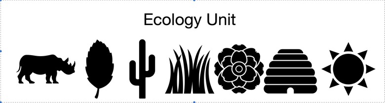 Ecology - Biology Lesson Plan