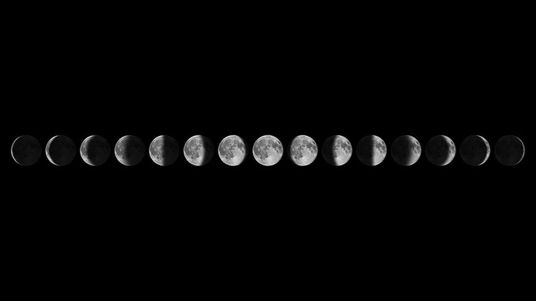 Phases of the Moon | eMedia