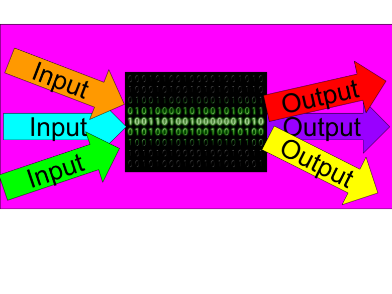 Input and Output Assessment