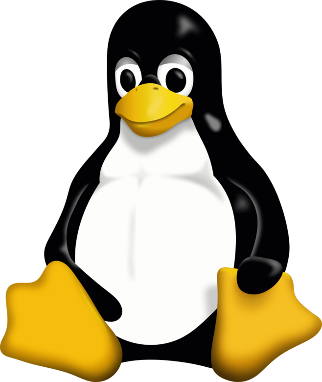 Remove Files in Linux