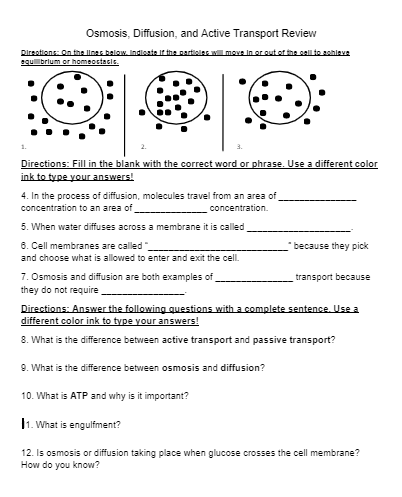 Osmosis and Diffusion Review