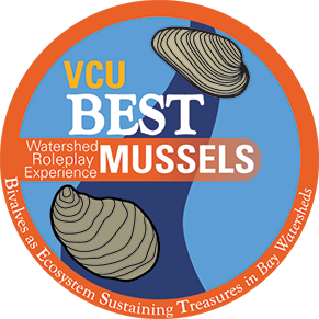 Lesson J: Student Worksheets, Presentations, Resources and Tools for Mussels