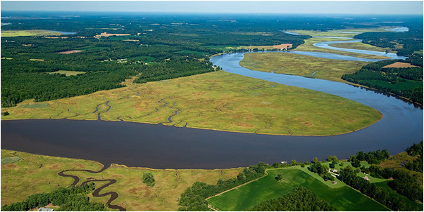 Watershed Investigations: Exploring Environmental Issues Within Your Community