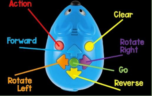 Alicia Pane: Implementation Plan for Coding Mouse