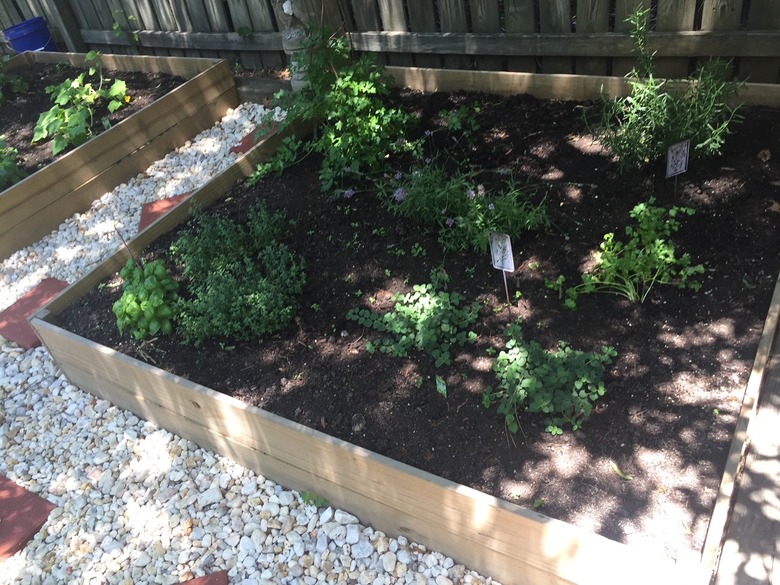 Garden Grid Area Activity