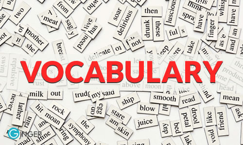 Vocabulary Unit 1