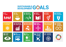 United Nations Sustainability Goals Lesson Plan
