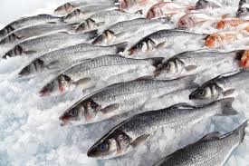 Is eating fish healthy?